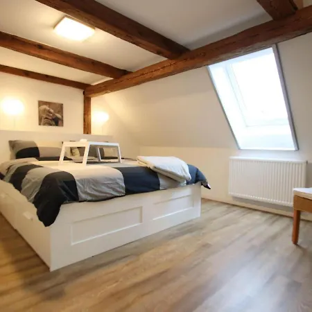 Charming With Fireplace Apartment Barkhagen