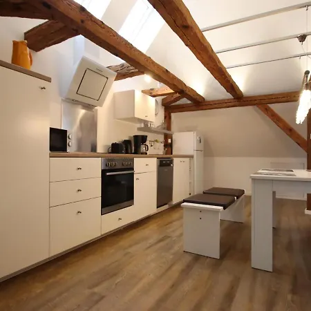 Apartment Am Plauer Mit Kamin