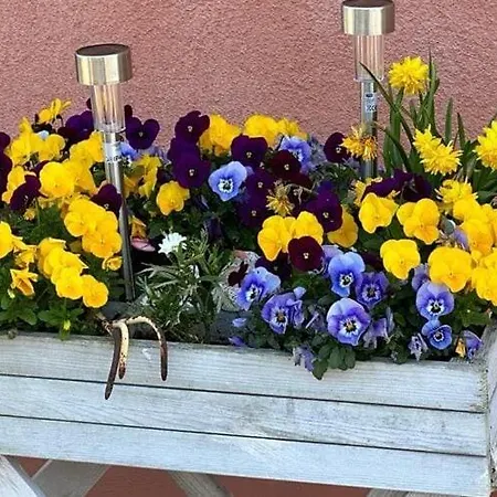 Am Plauer Mit Kamin Appartamento