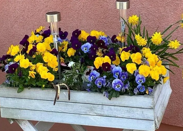 Am Plauer Mit Kamin 아파트